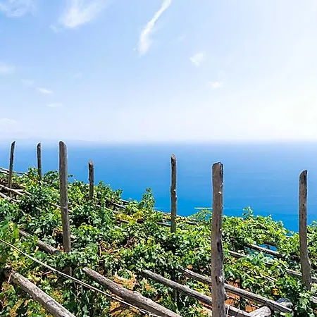 La Vigna Di Bacco 호텔